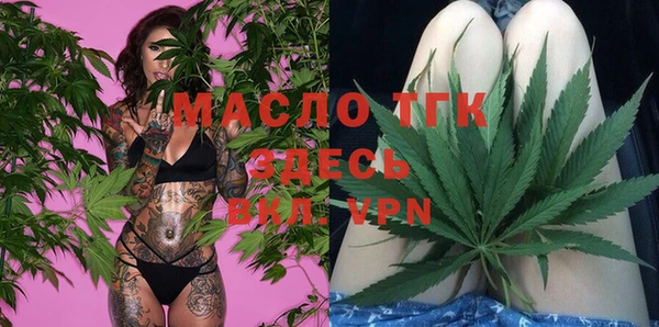 молекула духа Балахна