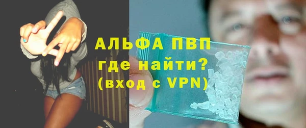 молекула духа Балахна