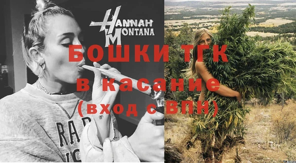 прущие грибы Сафоново